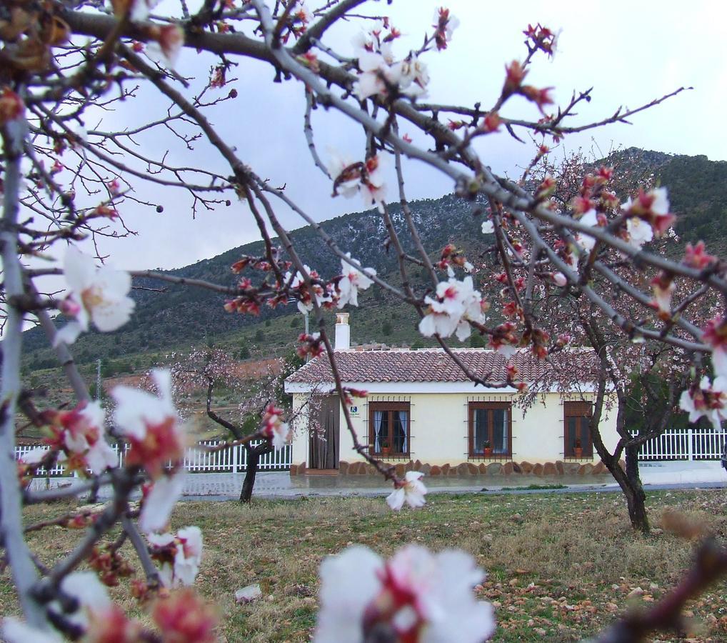 Maison d'hôtes Vivienda Rural Embalse San Clemente à Huéscar Extérieur photo